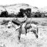 Cowboy_on_Horse-Art-Gallery-Stay-At-Fort-Davis-Cow-Camp
